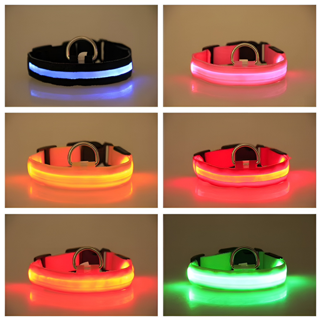 eco™  huisdieren light halsband