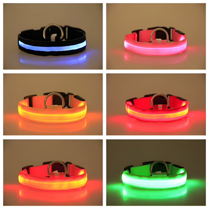 eco™  huisdieren light halsband