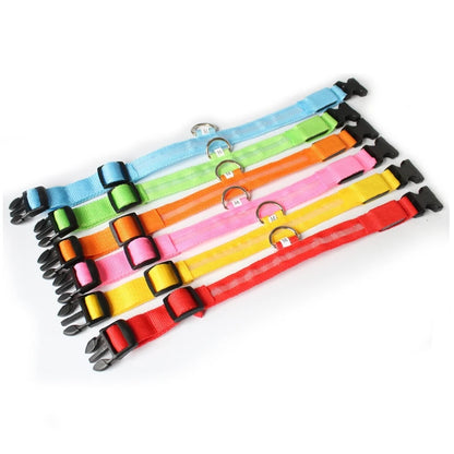 eco™  huisdieren light halsband