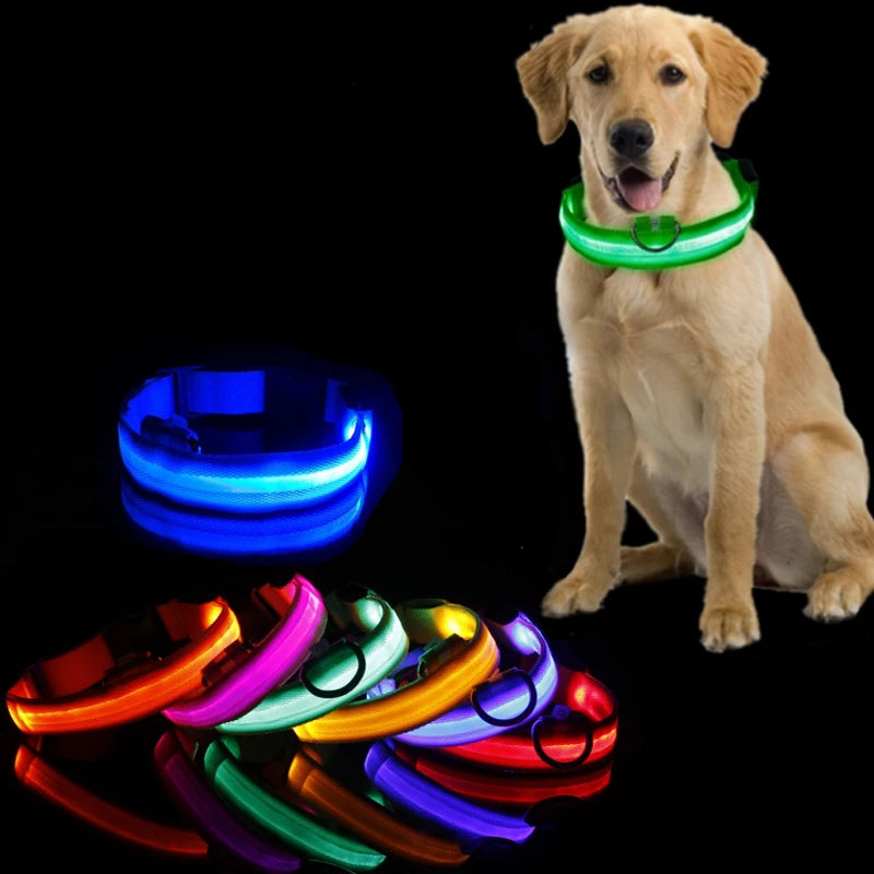 eco™  huisdieren light halsband