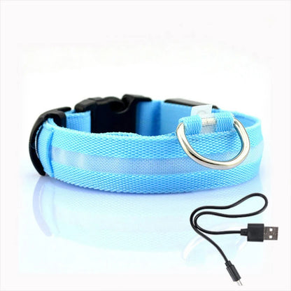 eco™  huisdieren light halsband
